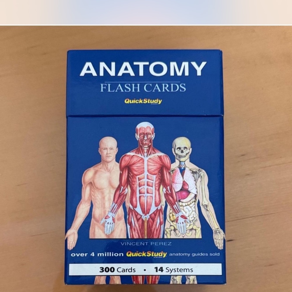 Anatomy Flash Cards By Quickstudy